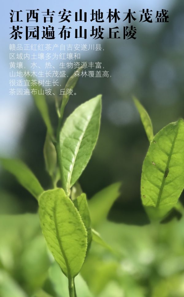 商品图像